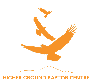 Higher Ground Raptor Centre