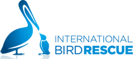 Internationa Bird Rescue