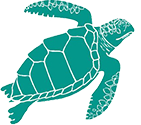 Karen Beasely Sea Turtle Rescue and Rehabilitation Center